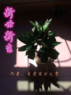 ɽ,Ů籾